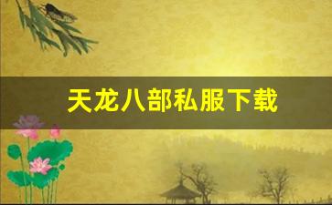 天龙八部私服下载(天龙手游私sf下载) (14)