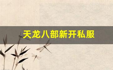 新开天龙八部网址：天龙八部新开私服(天龙